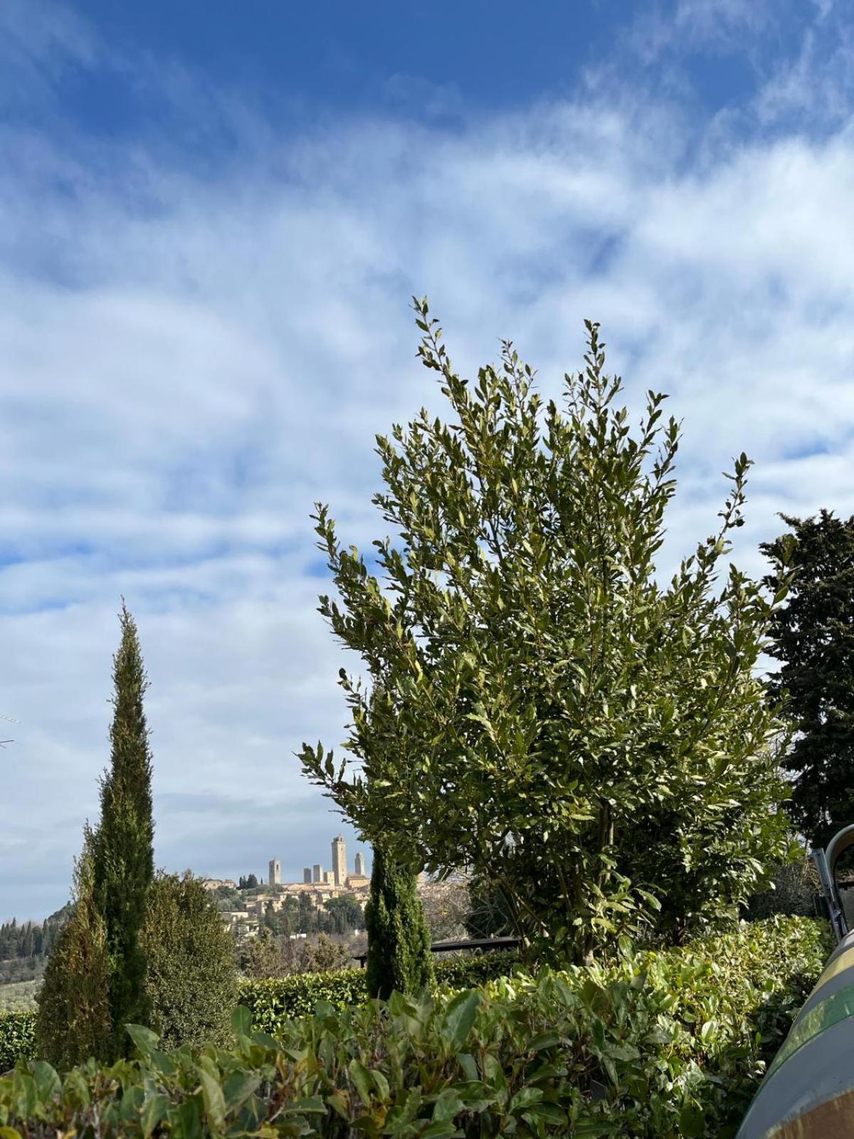 La Casina Di Cinzia Apartment San Gimignano Exterior photo
